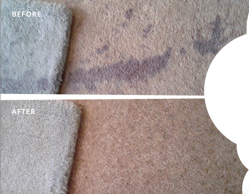 "Superior clean provided an outstanding service, not only were they professional and polite, but made my dirty and stained carpets look brand new. Thanks again"